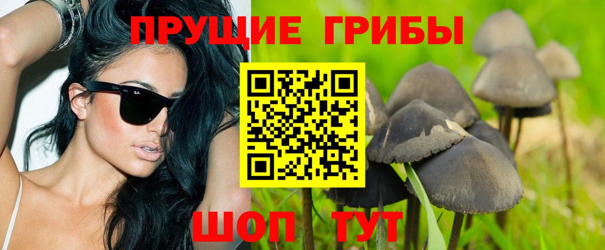 Псилоцибиновые грибы MAGIC MUSHROOMS Лиски