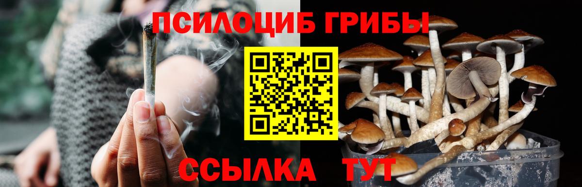 Лиски  Псилоцибиновые грибы GOLDEN TEACHER  Вход с VPN 